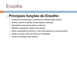 Enxofre
 Principais funções do Enxofre:
 Controle hormonal para o crescimento e diferenciação celular.
 Auxilia a planta na defesa contra pragas e doenças.
 Importante componente para as proteínas.
 Melhora a qualidade nutritiva dos cereais.
 Eleva a produção de colmos e o teor de sacarose na cana-de-açúcar.
 Ajudar a reduzir o teor de nitrato em forrageiras.
 Torna as hortaliças mais macias.
 