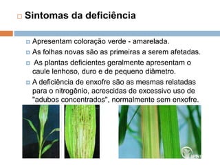  Sintomas da deficiência
 Apresentam coloração verde - amarelada.
 As folhas novas são as primeiras a serem afetadas.
 As plantas deficientes geralmente apresentam o
caule lenhoso, duro e de pequeno diâmetro.
 A deficiência de enxofre são as mesmas relatadas
para o nitrogênio, acrescidas de excessivo uso de
"adubos concentrados", normalmente sem enxofre.
 