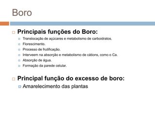 Boro
 Principais funções do Boro:
 Translocação de açúcares e metabolismo de carboidratos.
 Florescimento.
 Processo de frutificação.
 Interveem na absorção e metabolismo de cátions, como o Ca.
 Absorção de água.
 Formação da parede celular.
 Principal função do excesso de boro:
 Amarelecimento das plantas
 