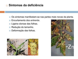  Sintomas da deficiência
 Os sintomas manifestam-se nas partes mais novas da planta.
 Encurtamento dos entrenós.
 Ligeira clorose das folhas.
 Redução do tamanho.
 Deformação das folhas.
 