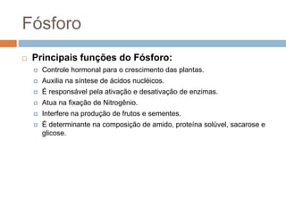 Fósforo
 Principais funções do Fósforo:
 Controle hormonal para o crescimento das plantas.
 Auxilia na síntese de ácidos nucléicos.
 É responsável pela ativação e desativação de enzimas.
 Atua na fixação de Nitrogênio.
 Interfere na produção de frutos e sementes.
 É determinante na composição de amido, proteína solúvel, sacarose e
glicose.
 