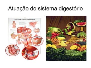 Atuação do sistema digestório 