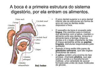 A boca é a primeira estrutura do sistema digestório, por ela entram os alimentos. O arco dental superior e o arco dental inferior são as estruturas em forma de arco em que os dentes estão dispostos e fixos.  O assoalho da boca é ocupado pela  língua . Ela contribui para a mistura dos alimentos com a saliva, mantém o alimento junto aos dentes, empurra o alimento para a faringe, limpa os dentes e é o órgão importante da fala. A língua apresenta ainda as  papilas linguais , estruturas responsáveis pela gustação. Anexas à boca estão três pares de  glândulas salivares , que são órgãos produtores de saliva.  A  saliva  contém uma enzima do tipo amilase, chamada  ptialina , que age sobre o amido e o transforma em maltose, uma variedade de açúcar formada pela união de duas moléculas de glicose.  