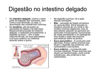 Digestão no intestino delgado  No  intestino delgado , ocorre a maior parte da digestão dos nutrientes, bem como a sua absorção, ou seja, a assimilação das substâncias nutritivas.  No  duodeno , são lançadas as secreções do fígado e do pâncreas. Nessa primeira porção do intestino delgado, é realizada principalmente, a digestão química – com a ação conjunta da bile, do suco pancreático e do suco entérico ou intestinal atuando sobre o quimo.  Na digestão química, há a ação dessas secreções:  Bile  – secreção do fígado armazena na vesícula biliar. Ela é lançada no duodeno através de um canal e não contém enzimas digestivas; mas os sais biliares separam as gorduras em partículas microscópicas, funcionando de modo semelhante a um detergente. Isso facilita a ação das enzimas pancreáticas sobre os lipídios.  Suco pancreático  – É produzido pelo pâncreas. Possui várias enzimas que atuam n digestão das proteínas, dos carboidratos e dos lipídios.  Suco entérico  – é produzido pela mucosa intestinal. Possui enzimas que atuam na transformação, entre outras substâncias, das proteínas e dos carboidratos.  