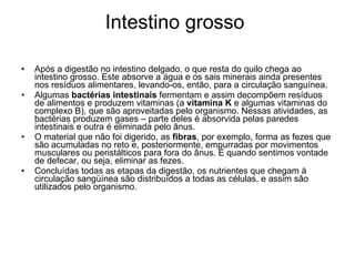 Intestino grosso  Após a digestão no intestino delgado, o que resta do quilo chega ao intestino grosso. Este absorve a água e os sais minerais ainda presentes nos resíduos alimentares, levando-os, então, para a circulação sanguínea.  Algumas  bactérias intestinais  fermentam e assim decompõem resíduos de alimentos e produzem vitaminas (a  vitamina K  e algumas vitaminas do complexo B), que são aproveitadas pelo organismo. Nessas atividades, as bactérias produzem gases – parte deles é absorvida pelas paredes intestinais e outra é eliminada pelo ânus.   O material que não foi digerido, as  fibras , por exemplo, forma as fezes que são acumuladas no reto e, posteriormente, empurradas por movimentos musculares ou peristálticos para fora do ânus. É quando sentimos vontade de defecar, ou seja, eliminar as fezes.  Concluídas todas as etapas da digestão, os nutrientes que chegam à circulação sangüínea são distribuídos a todas as células, e assim são utilizados pelo organismo.   