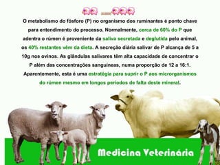 O metabolismo do fósforo (P) no organismo dos ruminantes é ponto chave
  para entendimento do processo. Normalmente, cerca de 60% do P que
adentra o rúmen é proveniente da saliva secretada e deglutida pelo animal,
os 40% restantes vêm da dieta. A secreção diária salivar de P alcança de 5 a
10g nos ovinos. As glândulas salivares têm alta capacidade de concentrar o
   P além das concentrações sanguíneas, numa proporção de 12 a 16:1.
Aparentemente, esta é uma estratégia para suprir o P aos microrganismos
       do rúmen mesmo em longos períodos de falta deste mineral.
 