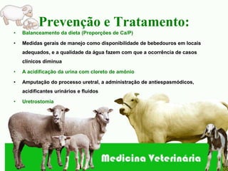 Prevenção e Tratamento:
•   Balanceamento da dieta (Proporções de Ca/P)

•   Medidas gerais de manejo como disponibilidade de bebedouros em locais
    adequados, e a qualidade da água fazem com que a ocorrência de casos
    clínicos diminua

•   A acidificação da urina com cloreto de amônio

•   Amputação do processo uretral, a administração de antiespasmódicos,
    acidificantes urinários e fluidos

•   Uretrostomia
 