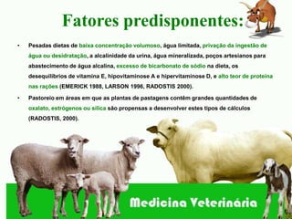 Fatores predisponentes:
•   Pesadas dietas de baixa concentração volumoso, água limitada, privação da ingestão de
    água ou desidratação, a alcalinidade da urina, água mineralizada, poços artesianos para
    abastecimento de água alcalina, excesso de bicarbonato de sódio na dieta, os
    desequilíbrios de vitamina E, hipovitaminose A e hipervitaminose D, e alto teor de proteína
    nas rações (EMERICK 1988, LARSON 1996, RADOSTIS 2000).

•   Pastoreio em áreas em que as plantas de pastagens contêm grandes quantidades de
    oxalato, estrógenos ou sílica são propensas a desenvolver estes tipos de cálculos
    (RADOSTIS, 2000).
 
