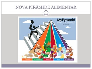 NOVA PIRÂMIDE ALIMENTAR
 