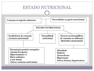 ESTADO NUTRICIONAL
 