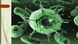 Nutrição bactriana