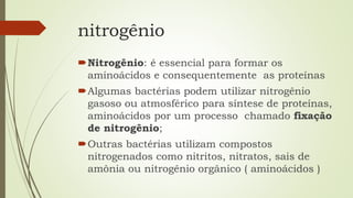 nitrogênio
Nitrogênio: é essencial para formar os
aminoácidos e consequentemente as proteínas
Algumas bactérias podem utilizar nitrogênio
gasoso ou atmosférico para síntese de proteínas,
aminoácidos por um processo chamado fixação
de nitrogênio;
Outras bactérias utilizam compostos
nitrogenados como nitritos, nitratos, sais de
amônia ou nitrogênio orgânico ( aminoácidos )
 