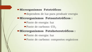 Microrganismos Fototróficos:
dependem de luz para produzir energia
Microrganismos Fotoautotróficos :
Fonte de energia: luz
Fonte de carbono: CO2
Microrganismos Fotoheterotróficos :
Fonte de energia: luz
Fonte de carbono: compostos orgânicos
 