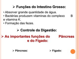  Funções do Intestino Grosso:
• Absorver grande quantidade de água.
• Bactérias produzem vitaminas do complexo B
e vitamina K.
• Formação das fezes.
 Controle da Digestão:
 As importantes funções do Pâncreas
e do Fígado:
 Pâncreas:  Fígado:
 