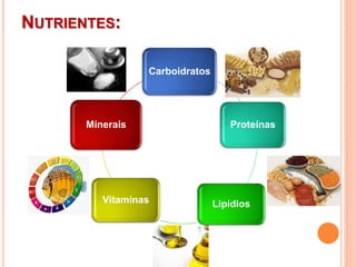Carboidratos
Proteínas
LipídiosVitaminas
Minerais
NUTRIENTES:
 