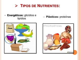 • Energéticos: glicídios e
lipídios
• Plásticos: proteínas
 TIPOS DE NUTRIENTES:
 