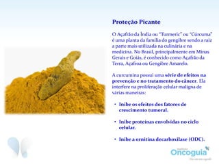Proteção Picante
O Açafrão da Índia ou “Turmeric” ou “Cúrcuma”
é uma planta da família do gengibre sendo a raiz
a parte mais utilizada na culinária e na
medicina. No Brasil, principalmente em Minas
Gerais e Goiás, é conhecido como Açafrão da
Terra, Açafroa ou Gengibre Amarelo.
A curcumina possui uma série de efeitos na
prevenção e no tratamento do câncer. Ela
interfere na proliferação celular maligna de
várias maneiras:
• Inibe os efeitos dos fatores de
crescimento tumoral.
• Inibe proteínas envolvidas no ciclo
celular.
• Inibe a ornitina decarboxilase (ODC).
 