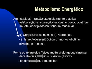Metabolismo Energético
Aminoácidos - função essencialmente plástica
   (elaboração e reparação tecidos) e pouco contribui
   no total energético no trabalho muscular

    a) Constituintes enzimas b) Hormonas
    c) Hemoglobina eritrócitos d)Imunoglobulinas
    e)Actina e miosina

Fome ou exercícios físicos muito prolongados (provas
   durante dias)      insuficiência glúcido-
   -lipídica     a.a. músculos
 