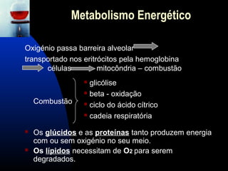 Metabolismo Energético

Oxigénio passa barreira alveolar
transportado nos eritrócitos pela hemoglobina
      células         mitocôndria – combustão
                  glicólise
                  beta - oxidação

    Combustão     ciclo do ácido cítrico

                  cadeia respiratória


   Os glúcidos e as proteínas tanto produzem energia
    com ou sem oxigénio no seu meio.
   Os lípidos necessitam de O2 para serem
    degradados.
 
