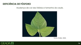 16
Mudança de cor dos folíolos e tamanho do caule.
DEFICIÊNCIA DE FÓSFORO
Fonte: Stoller, 2022.
 