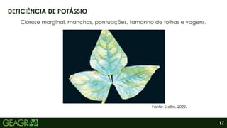 17
Clorose marginal, manchas, pontuações, tamanho de folhas e vagens.
DEFICIÊNCIA DE POTÁSSIO
Fonte: Stoller, 2022.
 
