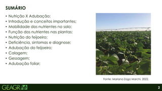 2
• Nutrição X Adubação;
• Introdução e conceitos importantes;
• Mobilidade dos nutrientes no solo;
• Função dos nutrientes nas plantas;
• Nutrição do feijoeiro;
• Deficiência, sintomas e diagnose;
• Adubação do feijoeiro;
• Calagem;
• Gessagem;
• Adubação foliar;
SUMÁRIO
Fonte: Mariana Zago Marchi, 2022.
 