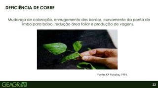 22
Mudança de coloração, enrrugamento dos bordos, curvamento da ponta do
limbo para baixo, redução área foliar e produção de vagens.
DEFICIÊNCIA DE COBRE
Fonte: KP Potafos, 1994.
 