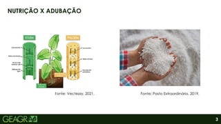 3
NUTRIÇÃO X ADUBAÇÃO
Fonte: Vectezzy, 2021. Fonte: Pasto Extraordinário, 2019.
 