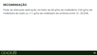 35
Pode ser efetuada aplicação via foliar de 60 g/ha de molibdênio (154 g/ha de
molibdato de sódio ou 111 g/ha de molibdato de amônio) entre 15 - 25 DAE.
RECOMENDAÇÃO
 