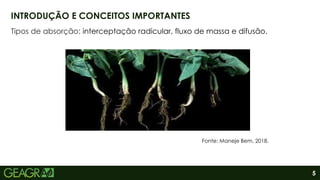 5
Tipos de absorção: interceptação radicular, fluxo de massa e difusão.
INTRODUÇÃO E CONCEITOS IMPORTANTES
Fonte: Maneje Bem, 2018.
 