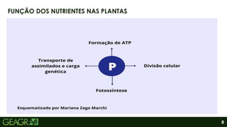 8
FUNÇÃO DOS NUTRIENTES NAS PLANTAS
 