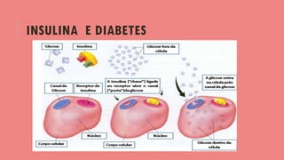 INSULINA E DIABETES
 