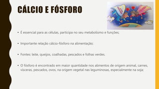 CÁLCIO E FÓSFORO
• É essencial para as células, participa no seu metabolismo e funções;
• Importante relação cálcio-fósforo na alimentação;
• Fontes: leite, queijos, coalhadas, pescados e folhas verdes.
• O fósforo é encontrado em maior quantidade nos alimentos de origem animal, carnes,
vísceras, pescados, ovos, na origem vegetal nas leguminosas, especialmente na soja;
 
