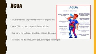 ÁGUA
• Nutriente mais importante do nosso organismo;
• 60 a 70% do peso corporal de um adulto;
• Faz parte de todos os líquidos e células do corpo;
• Funciona na digestão, absorção, circulação e excreção;
 