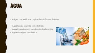 ÁGUA
• A água dos tecidos se origina de três formas distintas:
• Água líquida ingerida como bebida;
• Água ingerida como constituinte de alimentos;
• Água de origem metabólica
 