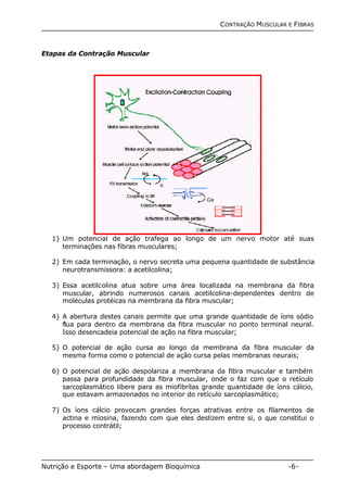 CONTRAÇÃO MUSCULAR E FIBRAS 
Etapas da Contração Muscular 
1) Um potencial de ação trafega ao longo de um nervo motor até suas 
terminações nas fibras musculares; 
2) Em cada terminação, o nervo secreta uma pequena quantidade de substância 
neurotransmissora: a acetilcolina; 
3) Essa acetilcolina atua sobre uma área localizada na membrana da fibra 
muscular, abrindo numerosos canais acetilcolina-dependentes dentro de 
moléculas protéicas na membrana da fibra muscular; 
4) A abertura destes canais permite que uma grande quantidade de íons sódio 
flua para dentro da membrana da fibra muscular no ponto terminal neural. 
Isso desencadeia potencial de ação na fibra muscular; 
5) O potencial de ação cursa ao longo da membrana da fibra muscular da 
mesma forma como o potencial de ação cursa pelas membranas neurais; 
6) O potencial de ação despolariza a membrana da fibra muscular e também 
passa para profundidade da fibra muscular, onde o faz com que o retículo 
sarcoplasmático libere para as miofibrilas grande quantidade de íons cálcio, 
que estavam armazenados no interior do retículo sarcoplasmático; 
7) Os íons cálcio provocam grandes forças atrativas entre os filamentos de 
actina e miosina, fazendo com que eles deslizem entre si, o que constitui o 
processo contrátil; 
Nutrição e Esporte – Uma abordagem Bioquímica -6- 
 