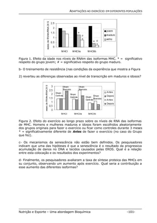 ADAPTAÇÕES AO EXERCÍCIO EM DIFERENTES POPULAÇÕES 
Figura 1. Efeito da idade nos níveis de RNAm das isoformas MHC. * = significativo 
respeito do grupo jovem; # = significativo respeito do grupo maduro. 
b- O treinamento de resistência (nas condições da experiência que mostra a Figura 
2) reverteu as diferenças observadas ao nível de transcrição em maduros e idosos? 
Figura 2. Efeito do exercício ao longo prazo sobre os níveis de RNA das isoformas 
de MHC. Homens e mulheres maduros e idosos foram escolhidos aleatoriamente 
dos grupos originais para fazer o exercício ou ficar como controles durante 3 meses 
* = significativamente diferente de Antes de fazer o exercício (no caso do Grupo 
que fez). 
c- Os mecanismos da senescência não estão bem definidos. Os pesquisadores 
indicam que uma das hipóteses é que a senescência é o resultado da progressiva 
acumulação de danos no DNA e tecidos causados pelas EROS. Qual é a relação 
entre esta colocação e os resultados dos experimentos? 
d- Finalmente, os pesquisadores avaliaram a taxa de síntese proteica das MHCs em 
su conjunto, observando um aumento após exercício. Qual seria a contribuição a 
esse aumento das diferentes isoformas? 
Nutrição e Esporte – Uma abordagem Bioquímica -101- 
 