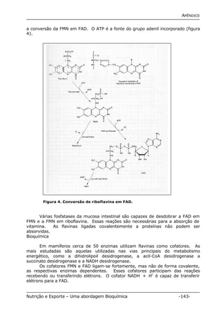APÊNDICE 
a conversão da FMN em FAD. O ATP é a fonte do grupo adenil incorporado (figura 
4). 
Figura 4. Conversão de riboflavina em FAD. 
Várias fosfatases da mucosa intestinal são capazes de desdobrar a FAD em 
FMN e a FMN em riboflavina. Essas reações são necessárias para a absorção de 
vitamina. As flavinas ligadas covalentemente a proteínas não podem ser 
absorvidas. 
Bioquímica 
Em mamíferos cerca de 50 enzimas utilizam flavinas como cofatores. As 
mais estudadas são aquelas utilizadas nas vias principais do metabolismo 
energético, como a dihidrolipoil desidrogenase, a acil-CoA desidrogenase a 
succinato desidrogenase e a NADH desidrogenase. 
Os cofatores FMN e FAD ligam-se fortemente, mas não de forma covalente, 
as respectivas enzimas dependentes. Esses cofatores participam das reações 
recebendo ou transferindo elétrons. O cofator NADH + H+ é capaz de transferir 
elétrons para a FAD. 
Nutrição e Esporte – Uma abordagem Bioquímica -143- 
 