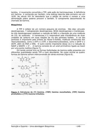 APÊNDICE 
tecidos, é novamente convertida a TPP, pela ação da tiaminoquinase. A deficiência 
em tiamina é conhecida por beribéri, uma doença descrita pela primeira vez em 
1630. No século XIX foi descoberto que a adição de carnes e cereais a uma 
alimentação pobre poderia prevenir o beribéri. O componente desconhecido foi 
chamado de tiamina. 
Bioquímica 
A TPP é cofator de um número pequeno de enzimas. São elas: piruvato 
desidrogenase, ? -cetoglutarato desidrogenase, BCKA desidrogenase e translocase. 
As três desidrogenases catalisam a redução de NAD e a liberação de uma molécula 
de CO2 do substrato. A translocase é a responsável pela transferência de duas 
unidades de carbono em duas reações da via das pentoses fosfato. A via das 
pentoses é importante pela síntese da ribose-5-fosfato, molécula constituinte dos 
ribonucleosídeos, como o ATP e o GTP, e deoxiribonucleosideos, como o dATP e o 
dGTP, além do RNA e DNA. O outro evento importante dessa via é a redução do 
NADP a NADPH + H+. A tiamina consiste de um anel pirimidínico ligado ao tiazol 
por uma ponte metílica (figura 7). 
Em tecido animal livre as formas fosforiladas da tiamina estão presentes em 
diferentes quantidades sendo TPP a mais abundante. No corpo animal as quatro 
formas de tiamina sofrem interconversão de várias enzimas (figura 8). 
Figura 7: Estruturas da (T) tiamina, (TMP) tiamina monofosfato, (TPP) tiamina 
pirofosfato e (TTP) tiamina trifosfato. 
Nutrição e Esporte – Uma abordagem Bioquímica -148- 
 