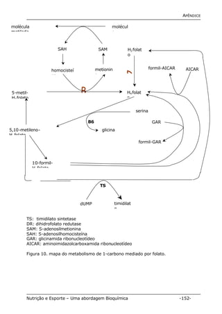 APÊNDICE 
molécula 
metilada 
5-metil- 
H4folato 
5,10-metileno- 
H4folato 
SAH SAM 
homocisteí 
na 
10-formil- 
H4folato 
H2folat 
o 
formil-AICAR AICAR D 
GAR 
molécul 
a 
H4folat 
o 
serina 
formil-GAR 
B6 
metionin 
a 
B 
glicina 
TS 
timidilat 
o 
dUMP 
TS: timidilato sintetase 
DR: dihidrofolato redutase 
SAM: S-adenosilmetionina 
SAH: S-adenosilhomocisteína 
GAR: glicinamida ribonucleotídeo 
AICAR: aminoimidazolcarboxamida ribonucleotídeo 
Figura 10. mapa do metabolismo de 1-carbono mediado por folato. 
Nutrição e Esporte – Uma abordagem Bioquímica -152- 
 