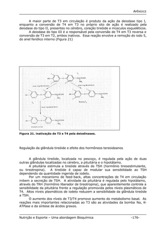 APÊNDICE 
A maior parte de T3 em circulação é produto da ação da deiodase tipo I, 
enquanto a conversão de T4 em T3 no próprio sito de ação é realizado pela 
deiodase do tipo II, presentes no cérebro, coração tireóide e músculos esqueléticos. 
A deiodase do tipo III é a responsável pela conversão de T4 em T3 reversa e 
conversão de T3 em T2, ambos inativos. Essa reação envolve a remoção do iodo 5, 
do anel fenólico interno (Figura 21) 
Figura 21. inativação de T3 e T4 pela deiodinases. 
Regulação da glândula tireóide e efeito dos hormôneos tereoideanos 
A glândula tireóide, localizada no pescoço, é regulada pela ação de duas 
outras glândulas localizadas no cérebro, a pituitária e o hipotálamo. 
A pituitária estimula a tireóide através do TSH (hormônio tireoestimulante, 
ou tireotropina). A tireóide é capaz de modular sua sensibilidade ao TSH 
dependendo da quantidade ingerida de iodeto. 
Por um mecanismo de feed-back, altas concentrações de T4 em circulação 
inibem a secreção de TSH. A atividade da pituitária é regulada pelo hipotálamo, 
através do TRH (hormônio liberador de tireotropina), que aparentemente controla a 
sensibilidade da pituitária frente a regulação promovida pelos níveis plasmáticos de 
T4. Altos níveis plasmáticos de iodeto reduzem a sensibilidade da glândula tireóide 
a TSH. 
O aumento dos níveis de T3/T4 promove aumento do metabolismo basal. As 
reações mais importantes relacionadas ao T3 são as atividades da bomba Na, K-ATPase 
e da síntese de ácidos graxos. 
Nutrição e Esporte – Uma abordagem Bioquímica -176- 
 