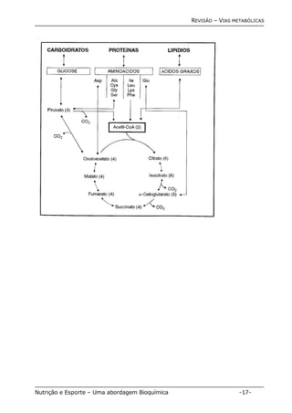 REVISÃO – VIAS METABÓLICAS 
Nutrição e Esporte – Uma abordagem Bioquímica -17- 
 