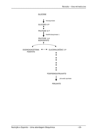 REVISÃO – VIAS METABÓLICAS 
GLICOSE 
hexoquinase 
GLICOSE 6 P 
FRUTOSE 6 P 
fosfofrutoquinase 1 
FRUTOSE 1,6 
BISFOSFATO 
DIIDROXIACETONA 
FOSFATO 
GLICERALDEÍDO 3 P 
FOSFOENOLPIRUVATO 
piruvato quinase 
PIRUVATO 
Nutrição e Esporte – Uma abordagem Bioquímica -19- 
 
