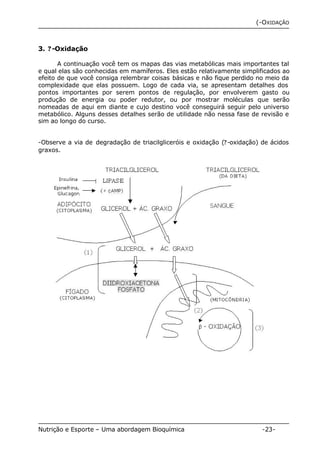 (-OXIDAÇÃO 
3. ? -Oxidação 
A continuação você tem os mapas das vias metabólicas mais importantes tal 
e qual elas são conhecidas em mamíferos. Eles estão relativamente simplificados ao 
efeito de que você consiga relembrar coisas básicas e não fique perdido no meio da 
complexidade que elas possuem. Logo de cada via, se apresentam detalhes dos 
pontos importantes por serem pontos de regulação, por envolverem gasto ou 
produção de energia ou poder redutor, ou por mostrar moléculas que serão 
nomeadas de aqui em diante e cujo destino você conseguirá seguir pelo universo 
metabólico. Alguns desses detalhes serão de utilidade não nessa fase de revisão e 
sim ao longo do curso. 
-Observe a via de degradação de triacilgliceróis e oxidação (?-oxidação) de ácidos 
graxos. 
Nutrição e Esporte – Uma abordagem Bioquímica -23- 
 