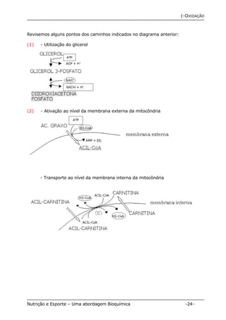 (-OXIDAÇÃO 
Revisemos alguns pontos dos caminhos indicados no diagrama anterior: 
(1) - Utilização do glicerol 
(2) - Ativação ao nível da membrana externa da mitocôndria 
- Transporte ao nível da membrana interna da mitocôndria 
Nutrição e Esporte – Uma abordagem Bioquímica -24- 
 