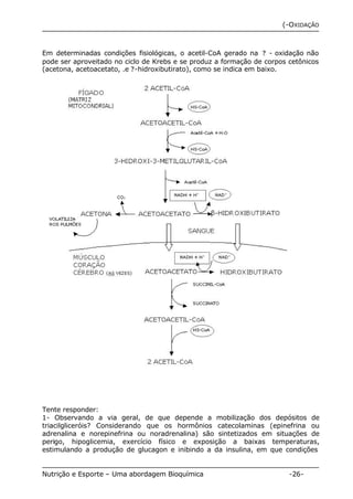 (-OXIDAÇÃO 
Em determinadas condições fisiológicas, o acetil-CoA gerado na ? - oxidação não 
pode ser aproveitado no ciclo de Krebs e se produz a formação de corpos cetônicos 
(acetona, acetoacetato, .e ?-hidroxibutirato), como se indica em baixo. 
Tente responder: 
1- Observando a via geral, de que depende a mobilização dos depósitos de 
triacilgliceróis? Considerando que os hormônios catecolaminas (epinefrina ou 
adrenalina e norepinefrina ou noradrenalina) são sintetizados em situações de 
perigo, hipoglicemia, exercício físico e exposição a baixas temperaturas, 
estimulando a produção de glucagon e inibindo a da insulina, em que condições 
Nutrição e Esporte – Uma abordagem Bioquímica -26- 
 