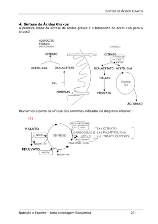 SÍNTESE DE ÁCIDOS GRAXOS 
4. Síntese de Ácidos Graxos 
A primeira etapa da síntese de ácidos graxos é o transporte de Acetil-CoA para o 
citossol 
Revisemos o ponto da síntese dos caminhos indicados no diagrama anterior: 
(1) 
Nutrição e Esporte – Uma abordagem Bioquímica -28- 
 