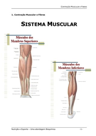 CONTRAÇÃO MUSCULAR E FIBRAS 
1. Contração Muscular e Fibras 
SISTEMA MUSCULAR 
Nutrição e Esporte – Uma abordagem Bioquímica -1- 
 