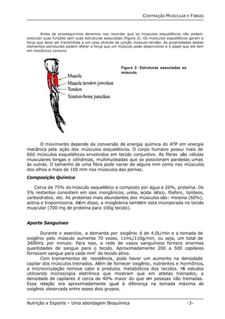 CONTRAÇÃO MUSCULAR E FIBRAS 
Antes de prosseguirmos devemos nos recordar que os músculos esqueléticos não podem 
executar suas funções sem suas estruturas associadas (figura 2). Os músculos esqueléticos geram a 
força que deve ser transmitida a um osso através da junção músculo-tendão. As propriedades destes 
elementos estruturais podem afetar a força que um músculo pode desenvolver e o papel que ele tem 
em mecânicos comuns. 
Figura 2: Estruturas associadas ao 
músculo. 
O movimento depende da conversão de energia química do ATP em energia 
mecânica pela ação dos músculos esqueléticos. O corpo humano possui mais de 
660 músculos esqueléticos envolvidos em tecido conjuntivo. As fibras são células 
musculares longas e cilíndricas, multinucleadas que se posicionam paralelas umas 
às outras. O tamanho de uma fibra pode variar de alguns mm como nos músculos 
dos olhos a mais de 100mm nos músculos das pernas. 
Composição Química 
Cerca de 75% do músculo esquelético e composto por água e 20%, proteína. Os 
5% restantes consistem em sais inorgânicos, uréia, acida lático, fósforo, lipídeos, 
carboidratos, etc. As proteínas mais abundantes dos músculos são: miosina (60%), 
actina e tropomiosina. Além disso, a mioglobina também esta incorporada no tecido 
muscular (700 mg de proteína para 100g tecido). 
Aporte Sanguíneo 
Durante o exercício, a demanda por oxigênio é de 4.0L/min e a tomada de 
oxigênio pelo músculo aumenta 70 vezes, 11mL/110g/min, ou seja, um total de 
3400mL por minuto. Para isso, a rede de vasos sanguíneos fornece enormes 
quantidades de sangue para o tecido. Aproximadamente 200 a 500 capilares 
fornecem sangue para cada mm2 de tecido ativo. 
Com treinamentos de resistência, pode haver um aumento na densidade 
capilar dos músculos treinados. Além de fornecer oxigênio, nutrientes e hormônios, 
a microcirculação remove calor e produtos metabólicos dos tecidos. Há estudos 
utilizando microscopia eletrônica que mostram que em atletas treinados, a 
densidade de capilares é cerca de 40% maior do que em pessoas não treinadas. 
Essa relação era aproximadamente igual à diferença na tomada máxima de 
oxigênio observada entre esses dois grupos. 
Nutrição e Esporte – Uma abordagem Bioquímica -3- 
 