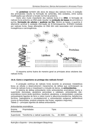 ESTRESSE OXIDATIVO, DEFESA ANTIOXIDANTE E ATIVIDADE FÍSICA 
As proteínas também são alvos de ataque dos radicais livres. A oxidação 
dos aminoácidos resulta na formação de carbonilas, tióis oxidados, entre outras 
modificações que alteram a função normal da proteína. 
Outro alvo muito importante dos radicais livres é o DNA. A formação de 
radicais livres próximo ao DNA pode resultar na oxidação de bases de pirimidina e 
purina, formação de adutos e quebras na fita. Dentre as bases, a guanina é 
altamente sensível à oxidação (formação de 8-hidroxiguanina, 8-OHdG) mediado 
por radicais livres. Essas alterações no DNA têm sido associadas com processos 
mutagênicos e carcinogênicos. 
O esquema acima ilustra de maneira geral os principais alvos celulares dos 
radicais livres. 
16.6. Como o organismo se protege dos radicais livres? 
A produção contínua de radicais livres durante os processos metabólicos 
levou as células a desenvolverem mecanismos de defesa que controlassem os 
níveis de radicais livres e impedissem a indução de danos, os antioxidantes. 
O sistema de defesa antioxidante inclui antioxidantes enzimáticos (como a 
superóxido dismutase, glutationa peroxidase e catalase), antioxidantes não-enzimáticos 
(como ácido ascórbico, tocoferol, glutationa, e carotenóides), proteínas 
extracelulares ligantes de ferro e cobre (como a albumina,transferrina, lactoferrina, 
ferritina, haptoglobina e ceruloplasmina) e antioxidantes exógenos polifenólicos 
(como os flavonóides, produto presente nas frutas, vegetais e legumes). 
Tabela 2 – principais agentes de defesa antioxidante 
Antioxidantes enzimáticos 
Enzima 
Propriedades Tipos 
Antioxidante 
Superóxido Transforma o radical superóxido Cu, Zn-SOD: localizado no 
Nutrição e Esporte – Uma abordagem Bioquímica -68- 
 